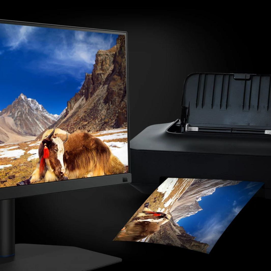 BenQ PhotoVue Monitors 